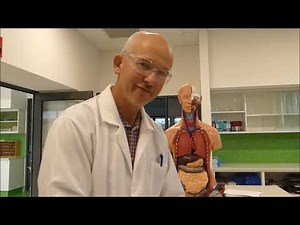 Pluck Dissection Standard Definition