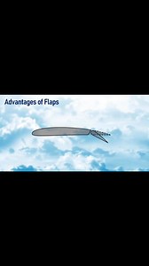 3.1K views · 42 reactions | Mastering FLAPS types & functions | Feel Like a Pilot | Facebook