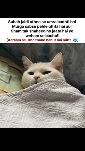 true hai💯💯 #viral #meme #funny