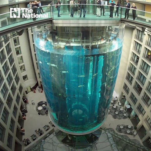 Huge aquarium, home to 1,500 fish, bursts in Berlin