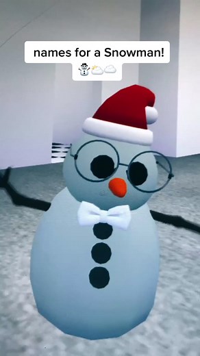 Creative Names for Your Snowman