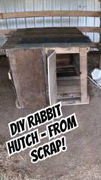DIY Rabbit Hutch - From SCRAP!