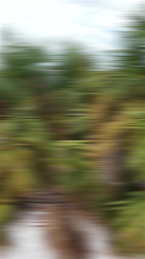 Sea trial day for a brand-new 2026 Jupiter 43, powered by quad Yamaha 450s. See what makes her a standout at this years Fort Lauderdale International Boat Show. | Jupiter Marine