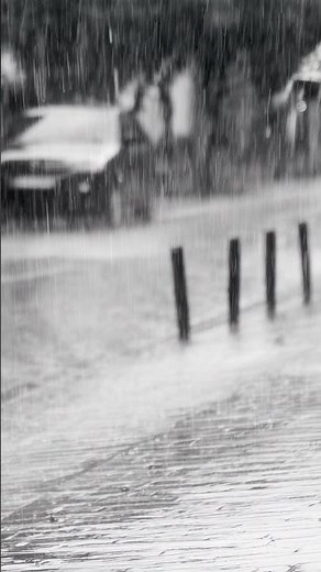 Deep Steady Rain with Wind Sound Effect 🌧️🍃 | Relaxing Rain Ambience (Short)