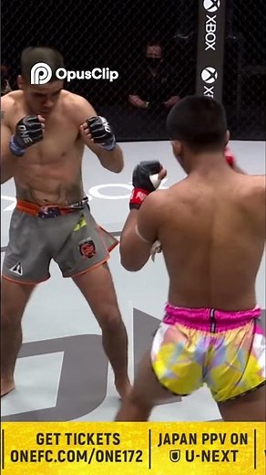 Master Your Technique Essential Fighting Tips for Beginners