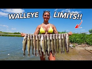 Walleye Fishing New Waters w/ NONSTOP ACTION!!(Catch And COOK!!)