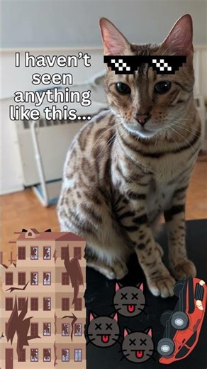 Catruso: What a MESS (CSI Miami Cat Parody)