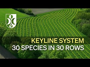 AGROFORESTRY DESIGN: 2.7 HA KEYLINE