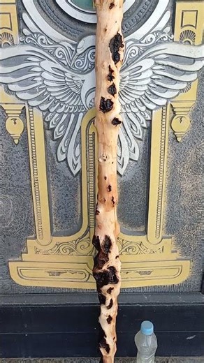 연수목주장자 124cm