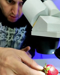 I'll never look at anything the same way again 😳🔬 | UNILAD