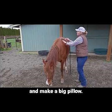 Is your horse too muscular? Why 'fluffy' is actually better.
