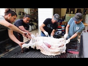 Whole hog butchery skin gut clean and cook