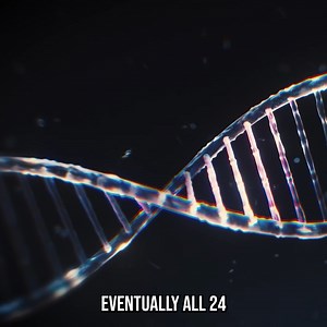 481K views · 11K reactions | Time Travel Was Made to Save Us! | The Why Files | Facebook