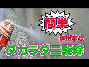 [Takaradani Mite Control] Easy Takaradani mite extermination with just a spray! Ikari Disinfectio...