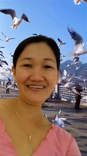Heaven in Motion 🕊️ Seagulls Dancing Above Me