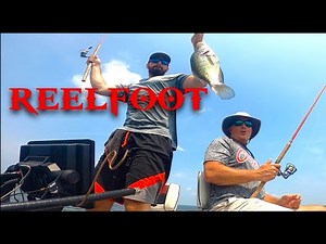 ReelFoot Crappie CUSTOM LIVESCOPE MOUNT