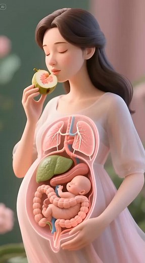 Understanding the Human Digestive Process in 3D Animation