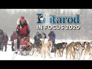 Iditarod In Focus 2020