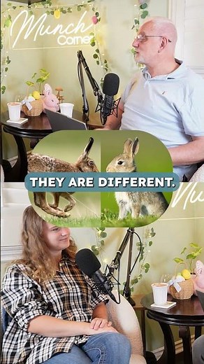 The Easter Bunny Isn’t Even a Bunny… 😳🐰