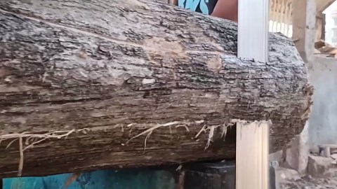 Extreme Sawmill Machines Cutting Stubborn Teak Wood