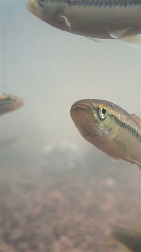 Best waterproof android phone.