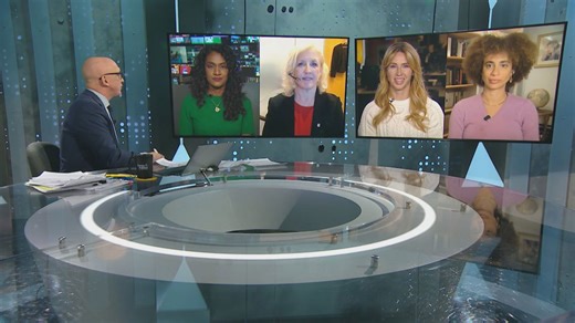 Conservative MP Jamil Jivani says he's ready to lend a hand on Canada-US issues