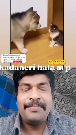 1.7K views · 9.1K reactions | CAT  AND DOG  FUNNY # TRENDING VIDEO # VIRAL VIDEO # SHORT VIDEO # NEW REELS # TAMIL ACTRESS # TAMIL COMEDY # INSTAGRAM REELS # HOLLYWOOD # STATUS # VIJAY SPEECH # BOLLYWOOD COMEDY # SOLVATHELLAM UNMAI # ROMANCE # | Balasupramaniyan Balasupramaniyan | Facebook