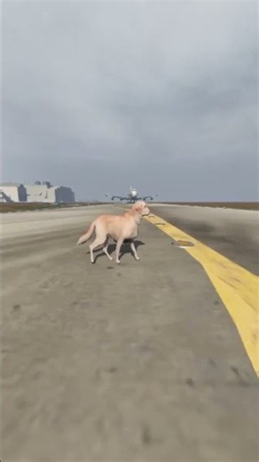 Pink Dog Triggers a Runway Emergency at the Last Second! 🩷🐶✈️ | GTA 5