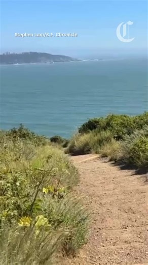 490 reactions · 20 comments | While the Bay Area isn’t known for sunny and warm beaches like Southern California, it offers a range of unique beach experiences. With hundreds of miles of Pacific coastline, there’s a beach for everyone — whether you’re surfing, picnicking or watching the sunset. Find all of the best beaches in the Bay Area via the link in our bio. : @joytakesphotos | San Francisco Chronicle | Facebook