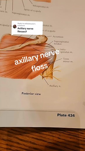 🟠 Axillary nerve glide. Nerve gliding or sliding or flossing server to desensitize symptoms associated with nerve irritation. This is just an example, see your doctor for your specific case. #axillary #axillarynerve #chiropractor #nerveglides | Bannockburn Chiropractic & Physical Therapy