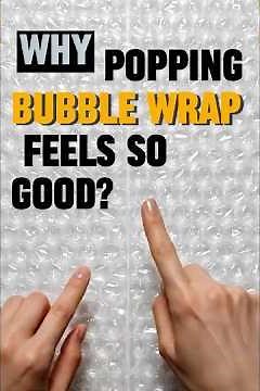 Why Popping Bubble Wrap Feels So Good