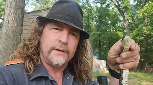 243K views · 4.3K reactions | *** ANY Negative Comments on this post...