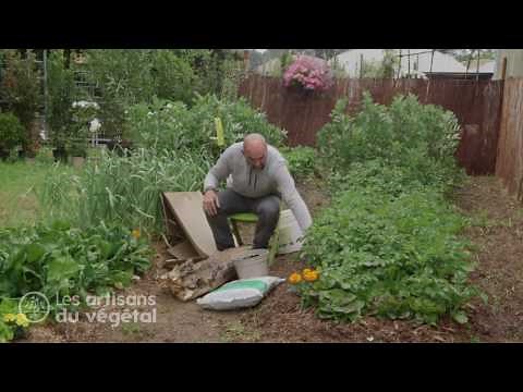 🌿 Comprendre la permaculture : créez facilement votre potager durable