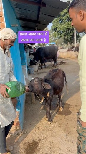 जन्म से ग़लत सीख जानलेवा बन सकती है। बच्चों को अच्छा सिखायें।