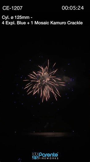 CE-1207 Ø125mm 4 Explosions Blue and 1 Mosaic Kamuro Crackle