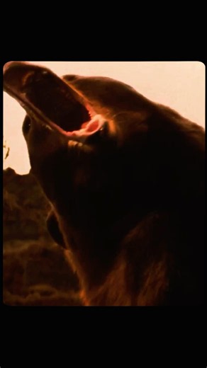 LAKE PLACID (1999) #LakePlacid #BillPullman #Summerween #July #Horror #HorrorMovies #Cinema #FYP