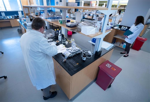 Westchester County grocery inspections. Check new food safety grades