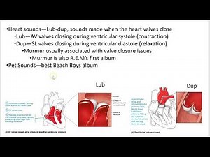 2402 Lecture Chapter 18 Heart 5 PowerPoint Screencast