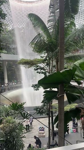 “World’s Most Beautiful Airport 😍 | Jewel Changi Singapore Tour 🇸🇬”#ChangiAirport#JewelChangi