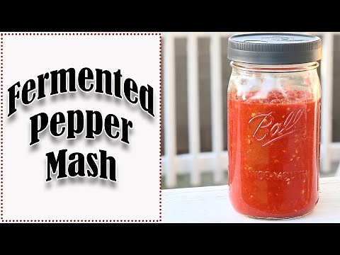 How To Make Fermented Pepper Mash