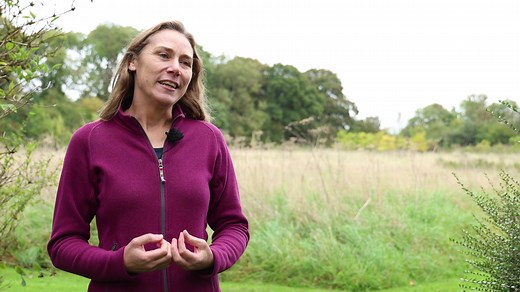 1.3K views · 14 shares | We are holding an online event to give residents the chance to find out more about the progress of the Local Nature Recovery Strategy so far. Join us on 29 February 6 - 7:30pm. Register here: https://orlo.uk/v9iaf Hull City Council Yorkshire Wildlife Trust Natural England National Farmers Union | East Riding of Yorkshire Council | Facebook
