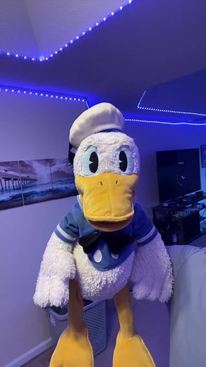 Donald Ducc Returns: What to Expect on TikTok