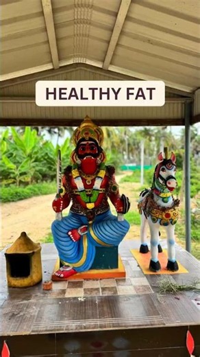 Healthy fat #svastya #wellness #fathealth #brainfood