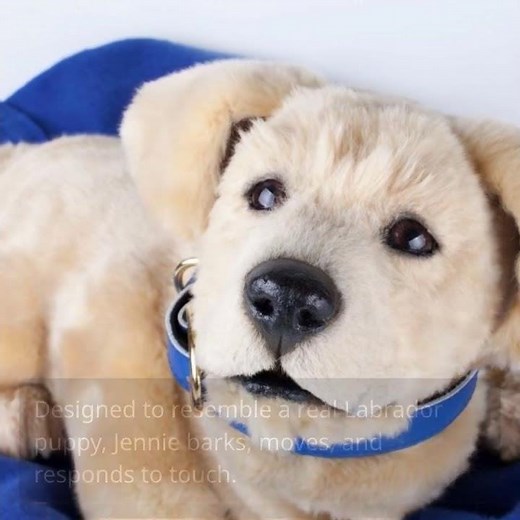 Meet Jennie: The Robotic Puppy Revolutionizing Mental Health Support