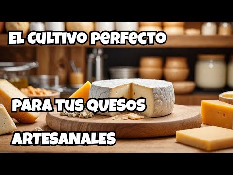 Diseñando la combinación ideal de mezcla de cultivos lacticos y probioticos para Quesos Artesanales