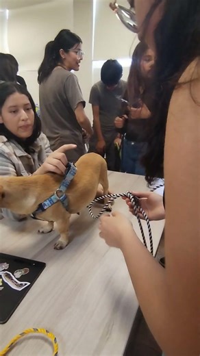 Oliden Regla, Kathya, B01, Evidencia Nudo de Payaso