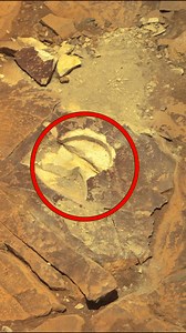 Perseverance rover has a more advanced drill that extracts rock cores and seals them in tubes. These samples may be brought back to Earth in the Mars Sample Return Mission. #Mars #NASA #marsrover #drillingonmars | Mars journey