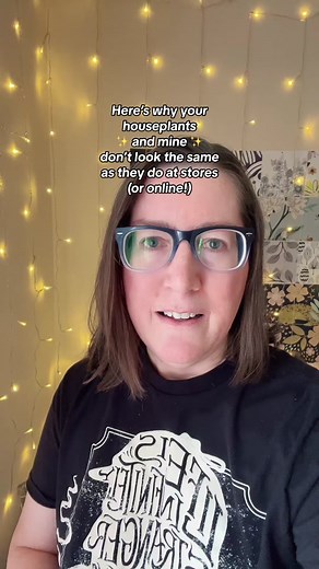 Why store bought plants dont look the same after a few months