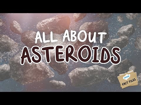 ☄️ Asteroids for Kids | 30 June | International Asteroid Day | Fact Files for Kids | Twinkl USA