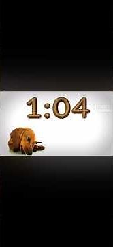 2 minutes timer